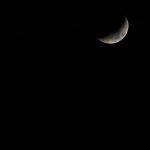 image_328.jpg