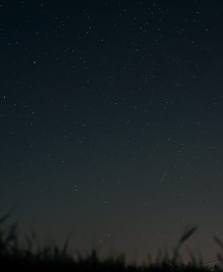 Что нового в Homestar Flux 2025: изменения и улучшения